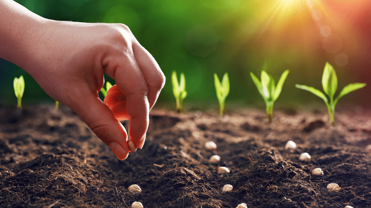 Tarım sektörü batıyor!