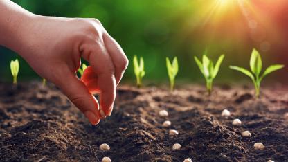 Tarım sektörü batıyor!