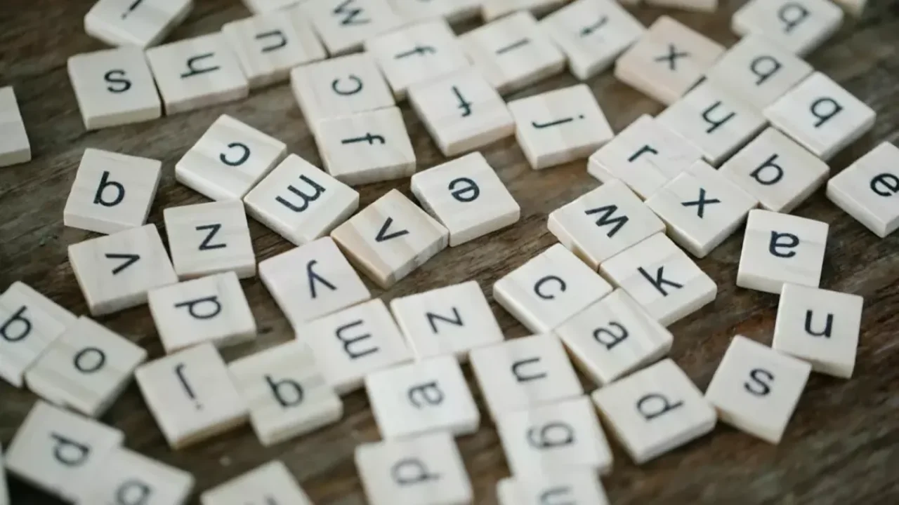 2025 yılının kelimesi belli oldu!