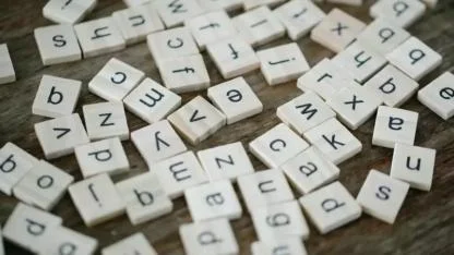 2025 yılının kelimesi belli oldu!