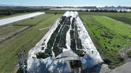 Antalya’da örtü altı üretime darbe: Büyükşehir’den hızlı müdahale