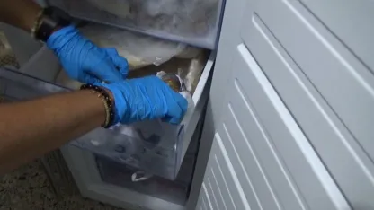 Dolandırıcıların sakladığı 85 bin euro derin dondurucudan çıktı