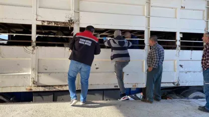Burdur’da şap karantinasındaki küpesiz hayvan taşıyan besiciye 170 bin lira ceza