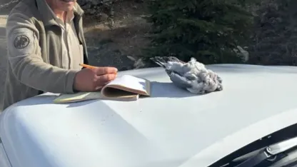 Burdur’da kaçak avcılar ekiplere yakalandı