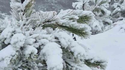 Muğla’ya mevsimin ilk karı yağdı