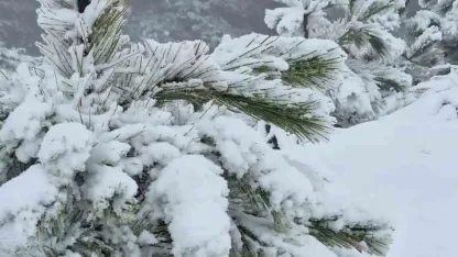 Muğla’ya mevsimin ilk karı yağdı