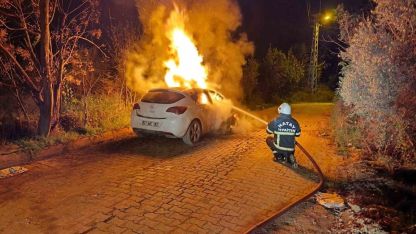 Otomobil alevlere teslim oldu