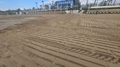 Belek sahillerinde doğa katliamı!  Kumullar tehdit altında