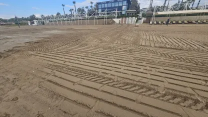 Belek sahillerinde doğa katliamı!  Kumullar tehdit altında