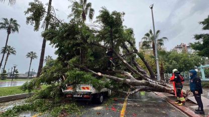 Mersin’de devrilen ağaç, seyir halindeki 3 araca zarar verdi
