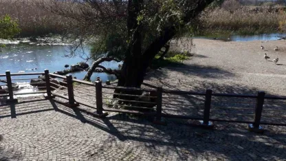 Akyaka Kadın Azmağında doğal dokuyu koruyan çalışma tamamlandı