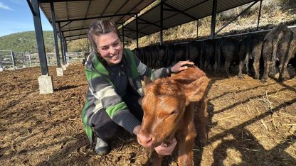 Bakanlık projesiyle hayvancılığa başlayan Ayşegül: Şimdiden 7 buzağım oldu bile