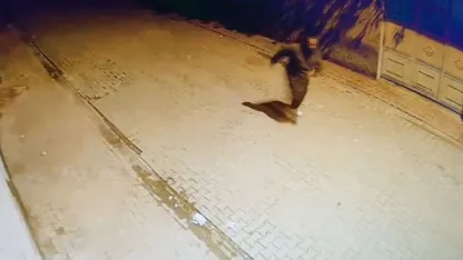 Evin camlarına taş atıp kaçtı: O anlar kamerada