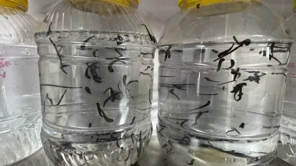 Bilimle gelen şifa: Yılda ortalama 20 bin adet Üretiliyor