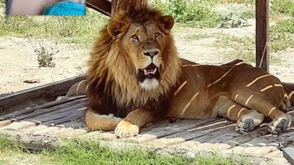 Antalya için 2025 nasıl geçti? Diplomasi üssünden rekor turizme, yangından depreme…