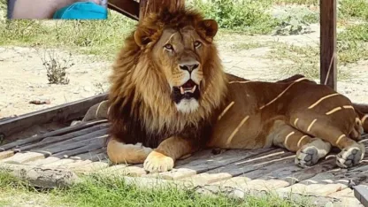 Antalya için 2025 nasıl geçti? Diplomasi üssünden rekor turizme, yangından depreme…