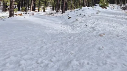 Sandras Dağı karla kaplandı