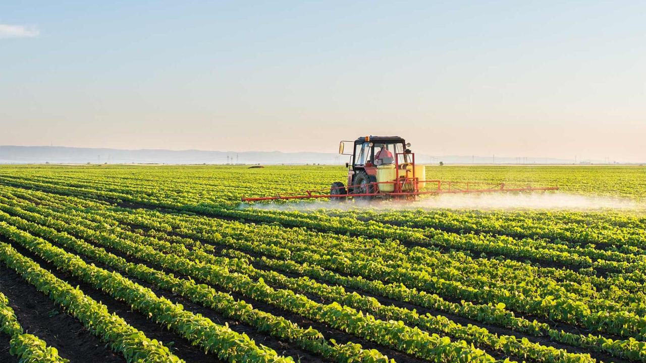 Antalya tarımında yapısal çöküş kapıda