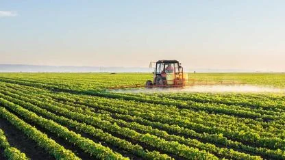 Antalya tarımında yapısal çöküş kapıda