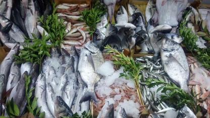 Antalya’da Aralık ayının en lezzetli balıkları!