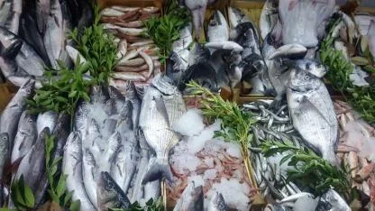 Antalya’da Aralık ayının en lezzetli balıkları!