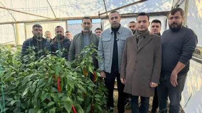 Antalya’da biber dalında kaldı!