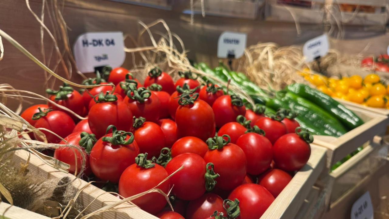 Antalya’da dengeler değişti! 11 ayda 35,6 milyon dolarlık ihracat