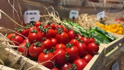 Antalya’da dengeler değişti! 11 ayda 35,6 milyon dolarlık ihracat