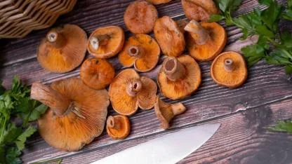 Antalya’da vatandaşlara ek gelir oluyor!