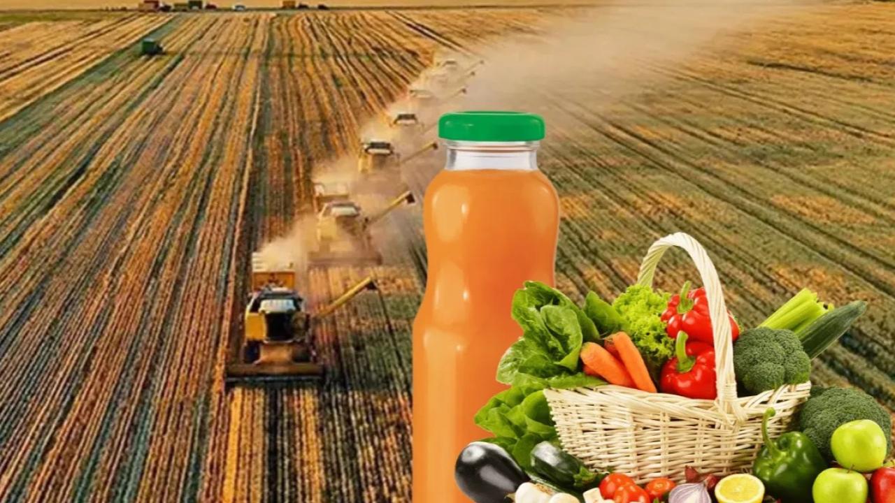 Antalya tarımda neden bu kadar güçlü! Rakamlar ilk kez bu kadar net