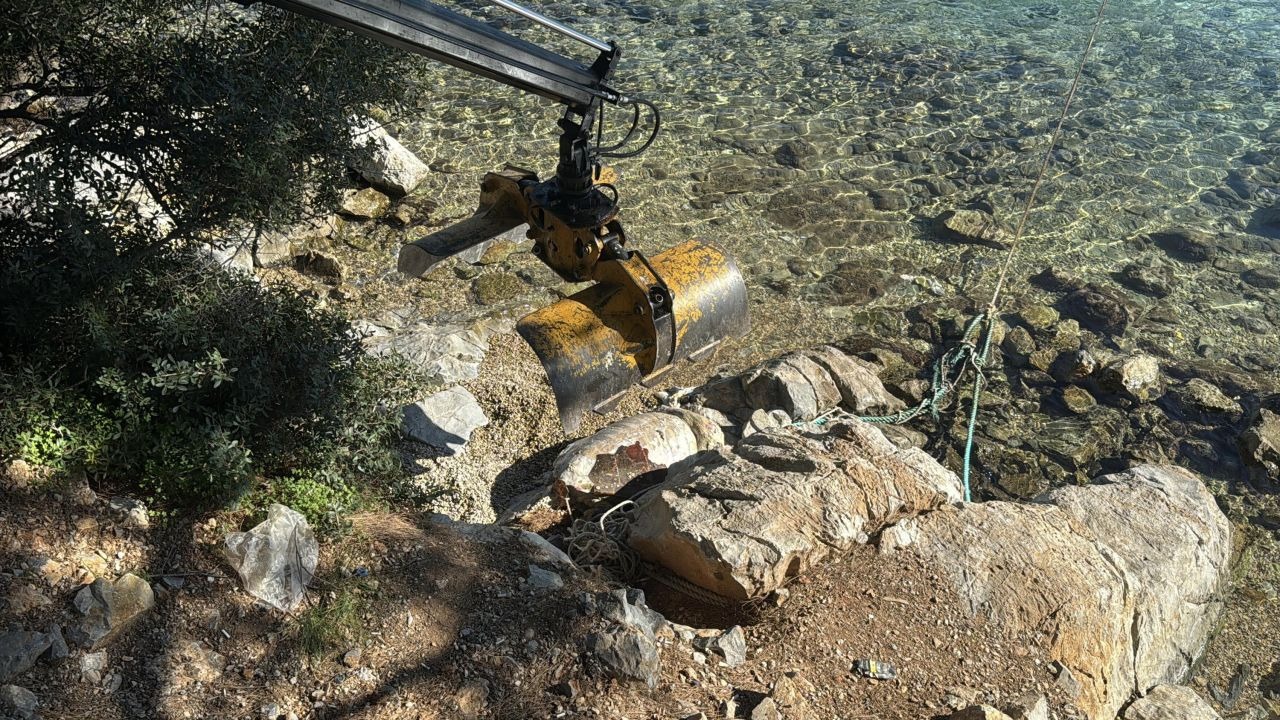 Bodrum&#039;da ölü caretta caretta kıyıya vurdu