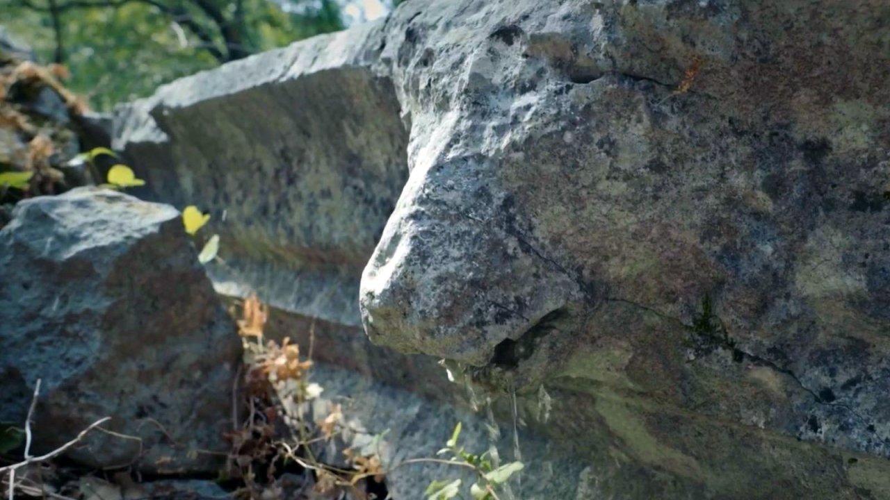 Büyük İskender'in fethedemediği antik kentte, 2 bin yıllık aslan başlı çörten kırıldı