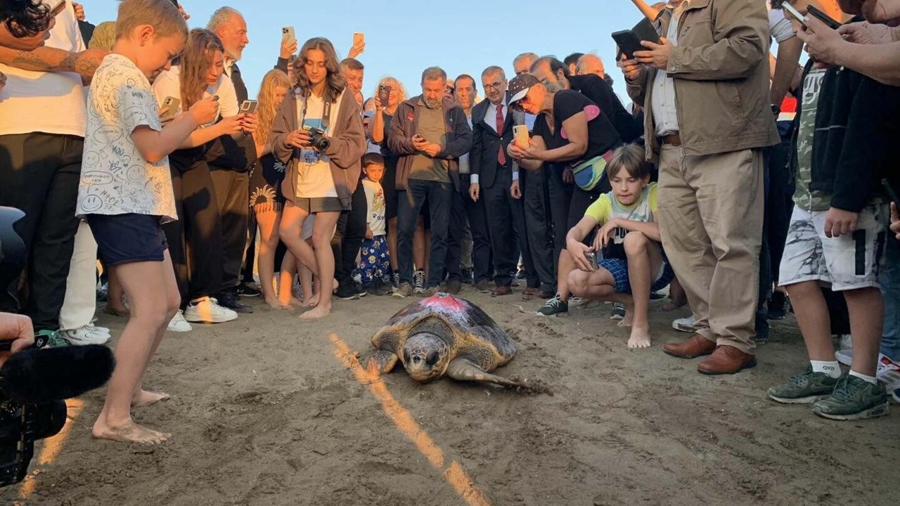 Caretta caretta 'Cumhuriyet'i 9 bin kişi izledi
