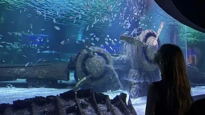 Deniz altının büyüleyici yolculuğu: Antalya Akvaryum