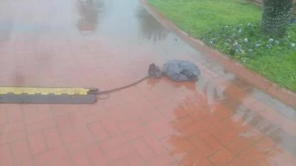 Elektriğe poşetli önlem