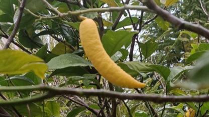 Görüntüsüyle "yok artık" dedirtti!