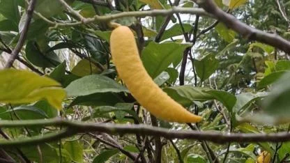 Görüntüsüyle "yok artık" dedirtti!