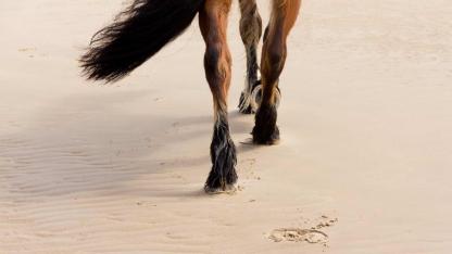 Kışın Antalya’ya gidenlerin keşfettiği gizli deneyim