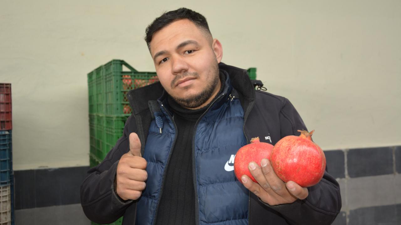 Korkuteli’nden nar ihracatı başladı