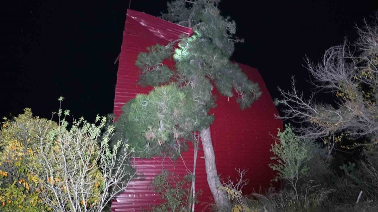 Şiddetli rüzgar çatıyı uçurdu, asırlık meşeyi devirdi