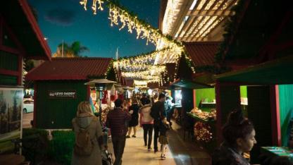 TerraCity AVM’de ‘WinterCity’ programı başladı