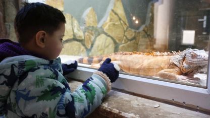 Soğuk günlerde sıcak önlemler