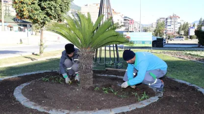 Park ve bahçelerde kış çalışmaları
