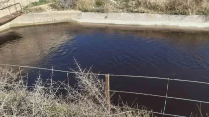 Göksu’nun siyah akmasına neden olan tesise 1 milyon 337 bin TL ceza