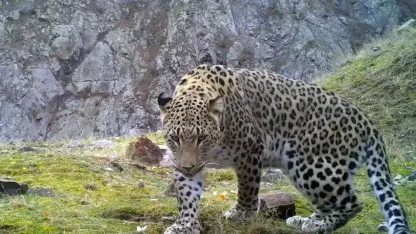 Zarar vermenin bedeli 45 milyon!