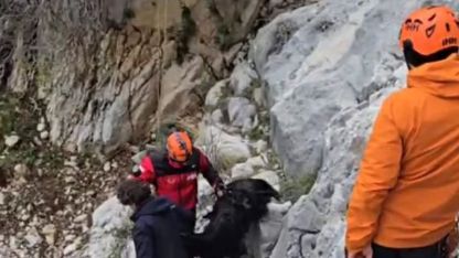 Serik'te dağlık alanda keçi kurtarma operasyonu