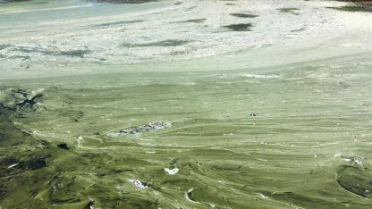 Eğirdir Gölü'nde 'bulanık yapı' riski