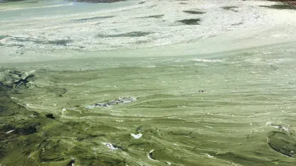 Eğirdir Gölü'nde 'bulanık yapı' riski