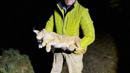 “Ormanın hayaleti” yeniden ortaya çıktı