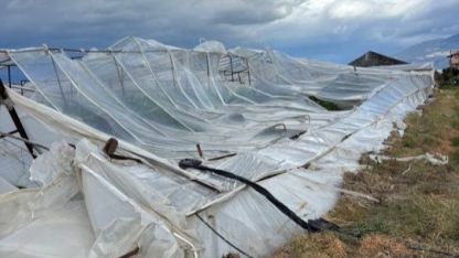 Kaş'ta fırtınadan seralar zarar gördü, ağaçlar devrildi